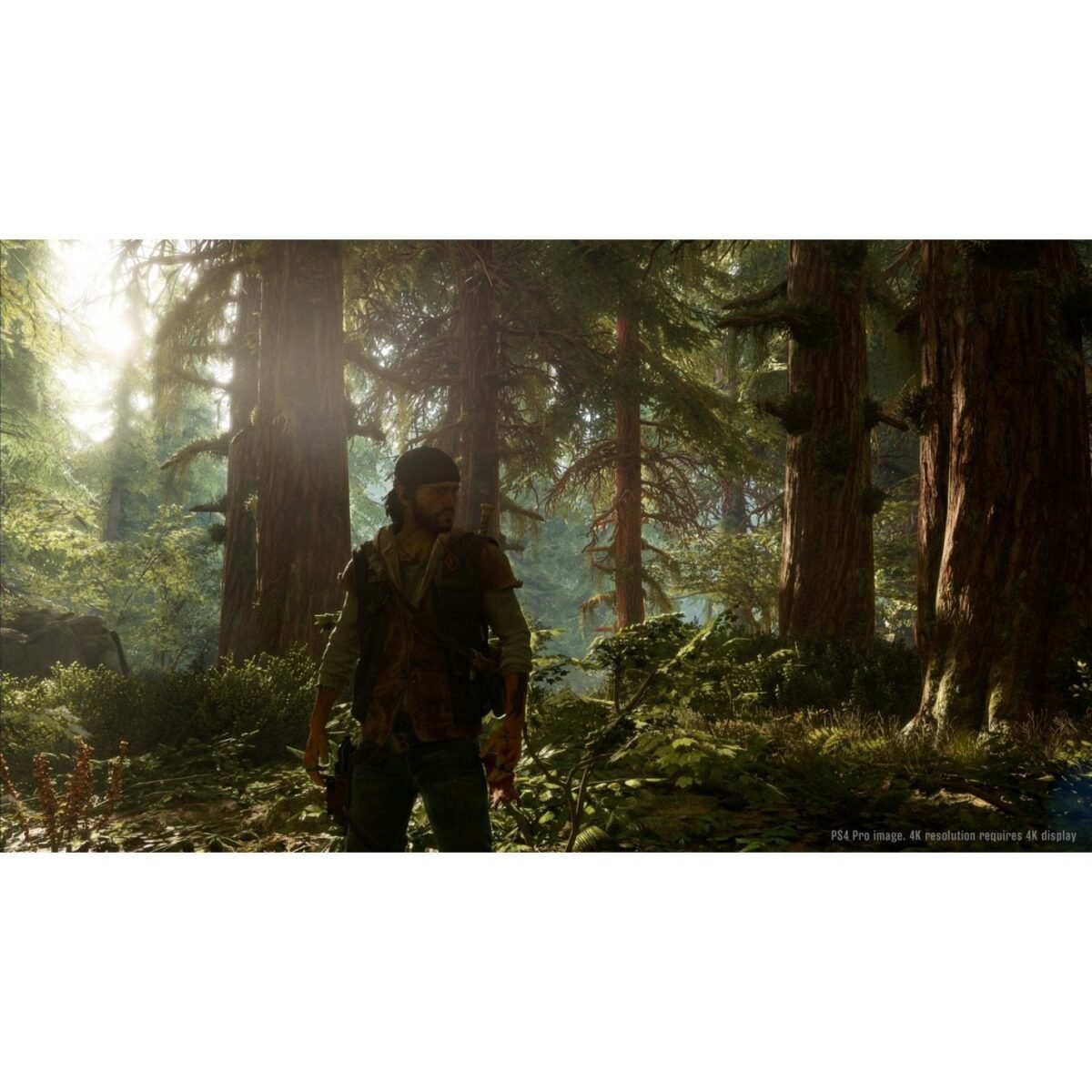 ⁦PS4 Days Gone⁩ - الصورة ⁦6⁩