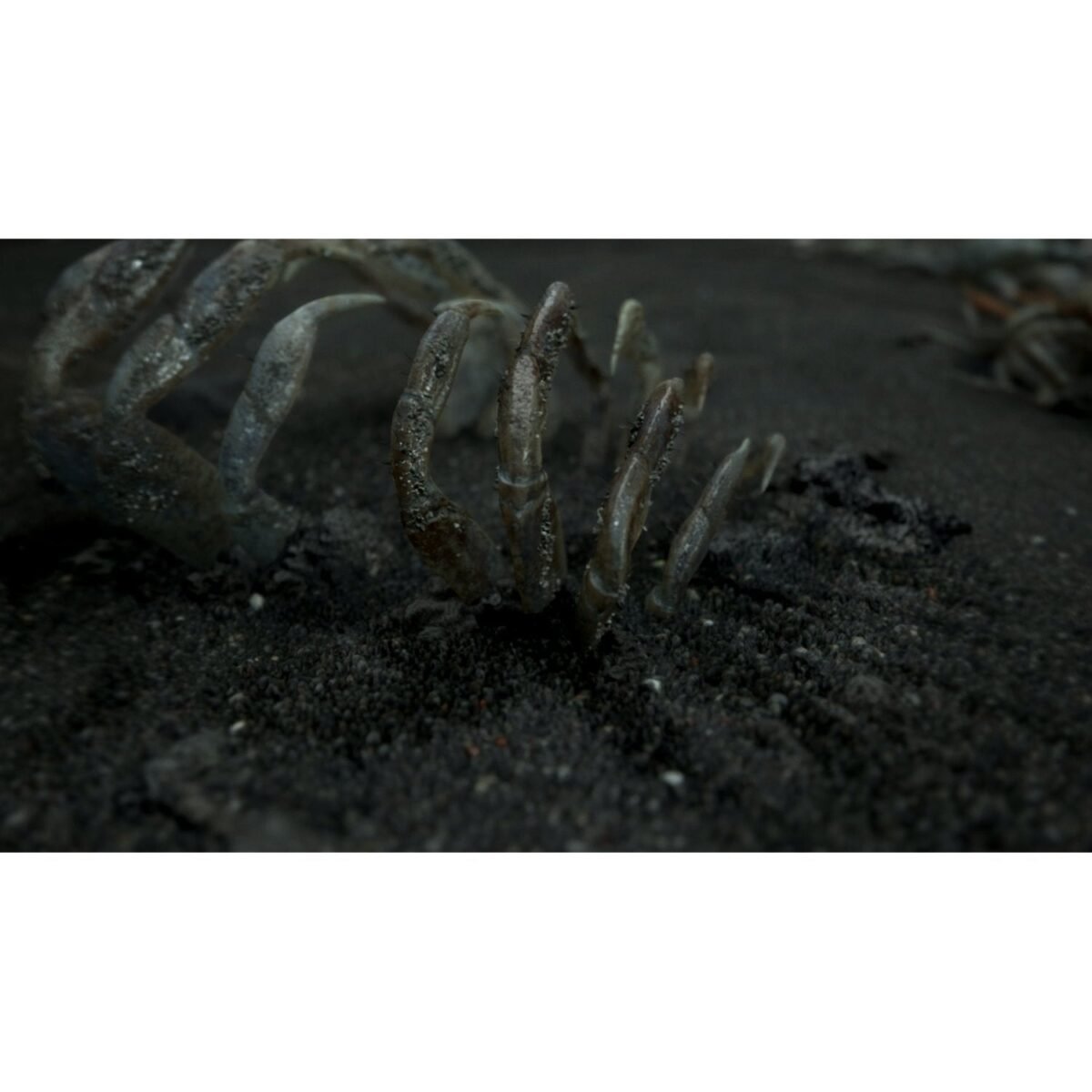 ⁦PS4 Death Stranding (NC16)⁩ - الصورة ⁦2⁩