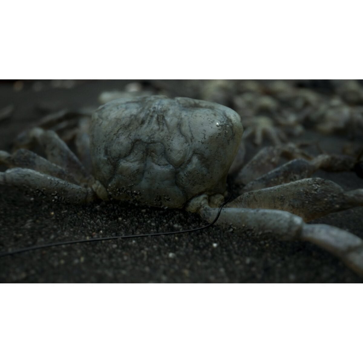 ⁦PS4 Death Stranding (NC16)⁩ - الصورة ⁦3⁩