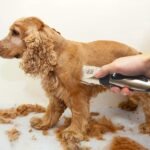 ⁦Rechargeable Grooming Kit for Trimming Hair of Different Lengths⁩ - الصورة ⁦8⁩